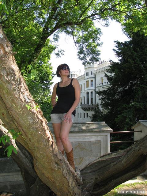 43551_93087522.jpg